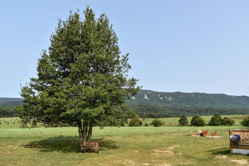 Villa Holly Tree Retreat Located In Beautiful Luray, Va. Extérieur photo
