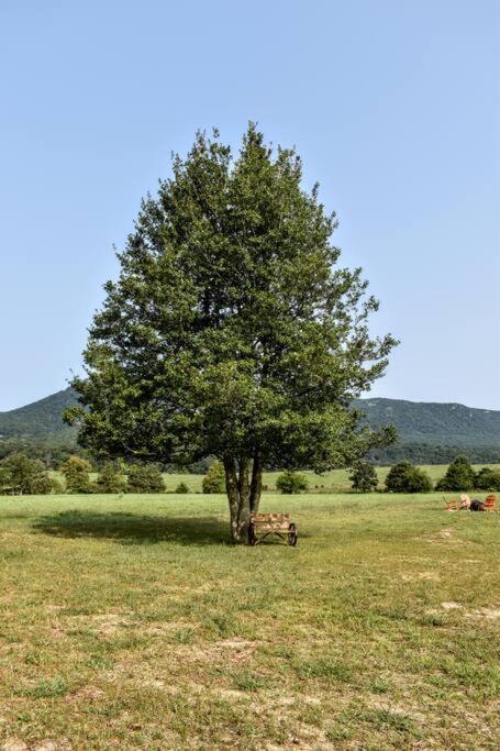 Villa Holly Tree Retreat Located In Beautiful Luray, Va. Extérieur photo