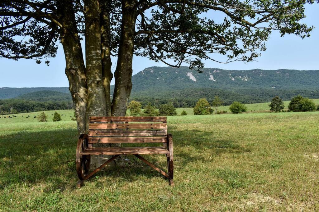 Villa Holly Tree Retreat Located In Beautiful Luray, Va. Extérieur photo