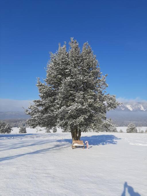 Villa Holly Tree Retreat Located In Beautiful Luray, Va. Extérieur photo