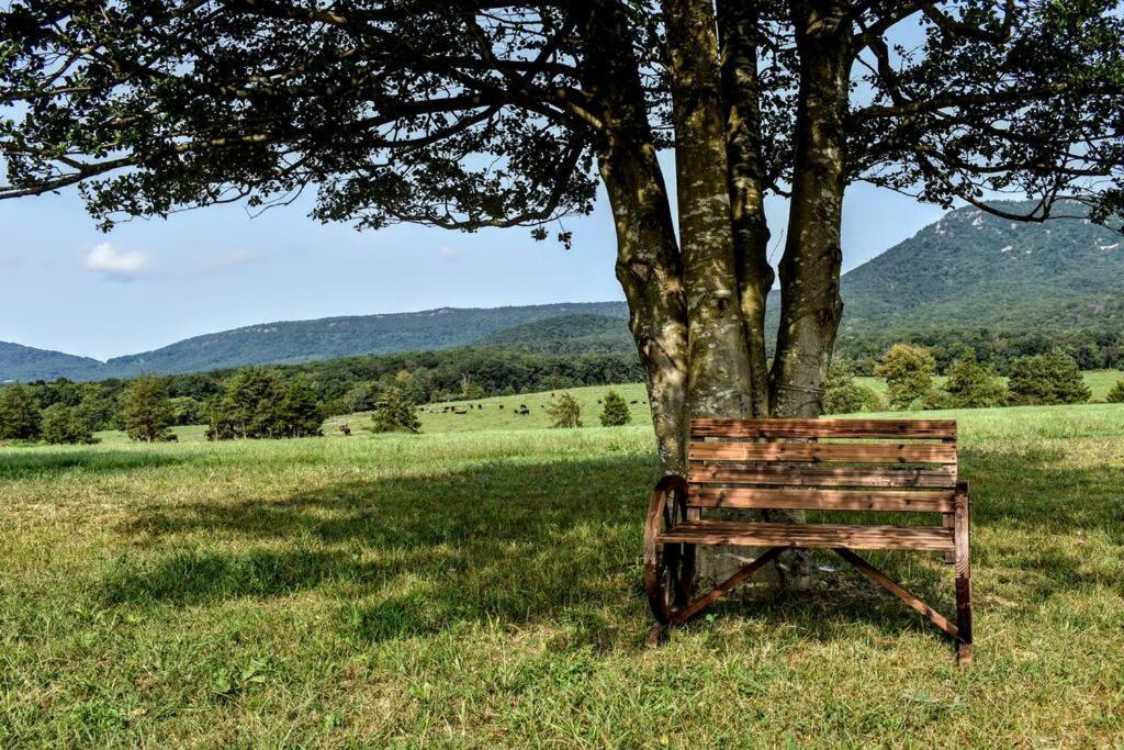 Villa Holly Tree Retreat Located In Beautiful Luray, Va. Extérieur photo