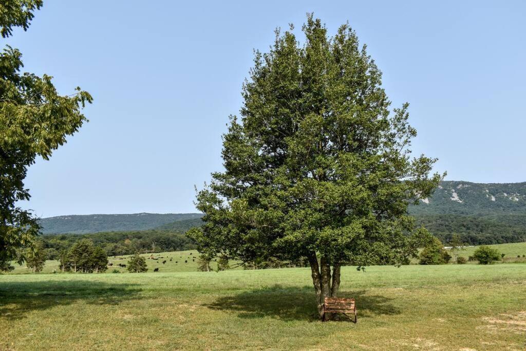 Villa Holly Tree Retreat Located In Beautiful Luray, Va. Extérieur photo